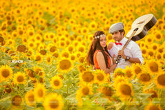 In a Field of Happiness