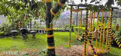 Mesmerising marigolgs for outdoor decor!