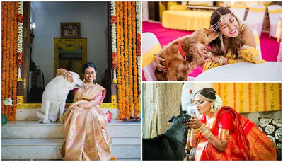 Adorable Bridal Portraits With Their Pet Dogs! - Part 1