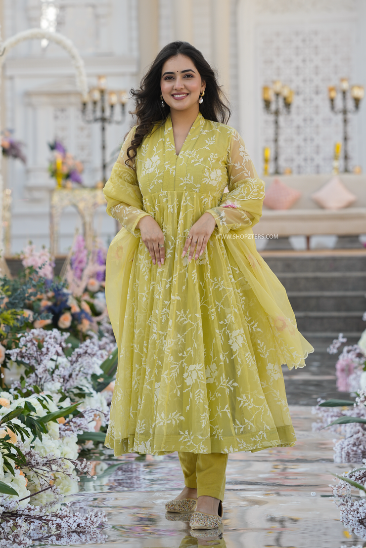 Faded Yellow Organza Suit Set