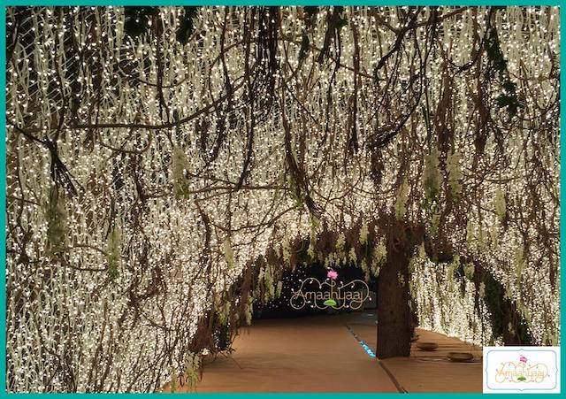6 Lighting Decor Ideas For The Fairytale Wedding
