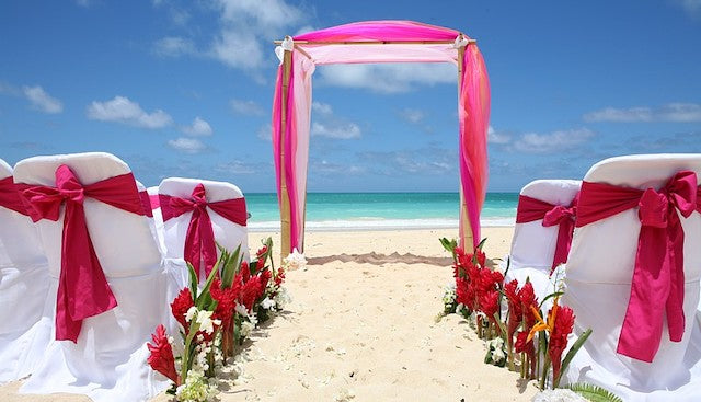 Dream Wedding!