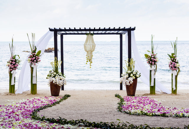 Exotic Wedding Destinations In India