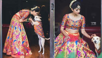 The MOST Adorable Outfits for Dogs at Weddings!