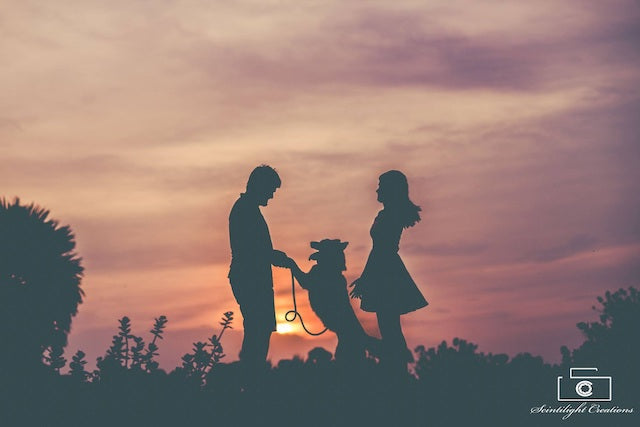 Silhouettes Are The Shadow Of The Soul