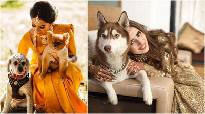 Adorable Bridal Portraits With Their Pet Dogs! - PART 2