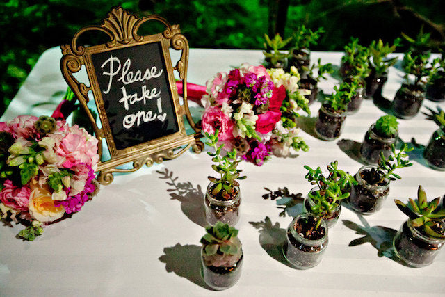 An Eco-Friendly Wedding!