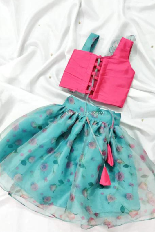 Pink Blue Organza Croptop & Skirt