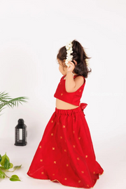 Red Dupion crop top and Skirt