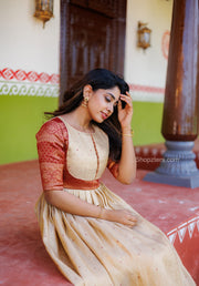 Off White and Marron Banaras Brocade Dress