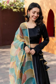 Black Velvet Lehenga With Multi Colour Organza Dupatta