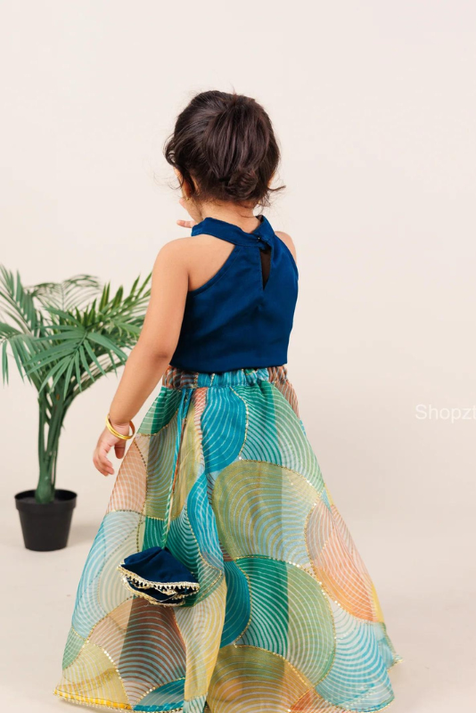 Teal Velvet Crop top and multicolour Organza skirt