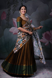 Striped Border Handloom Lehenga Set