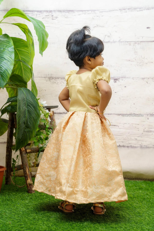 Peach Banarasi Dress with Tissue Jacket Mini