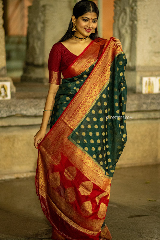 Warm Banarasi Saree