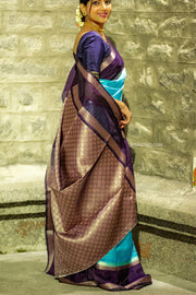 Warm Banarasi Silk Saree