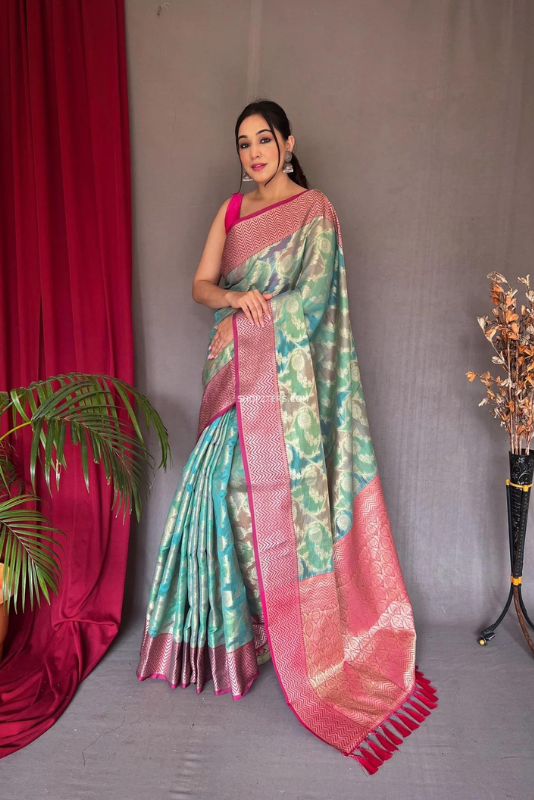 Banarasi Organza With Jaal weaves