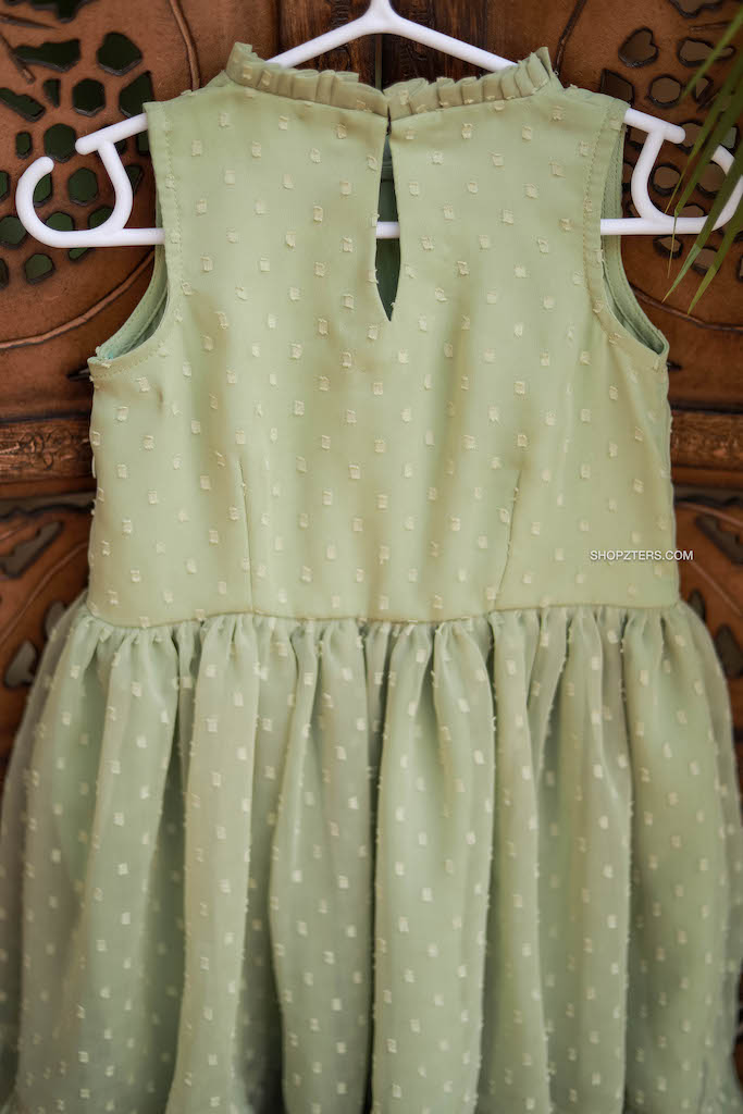 Mint Green Georgette Frock