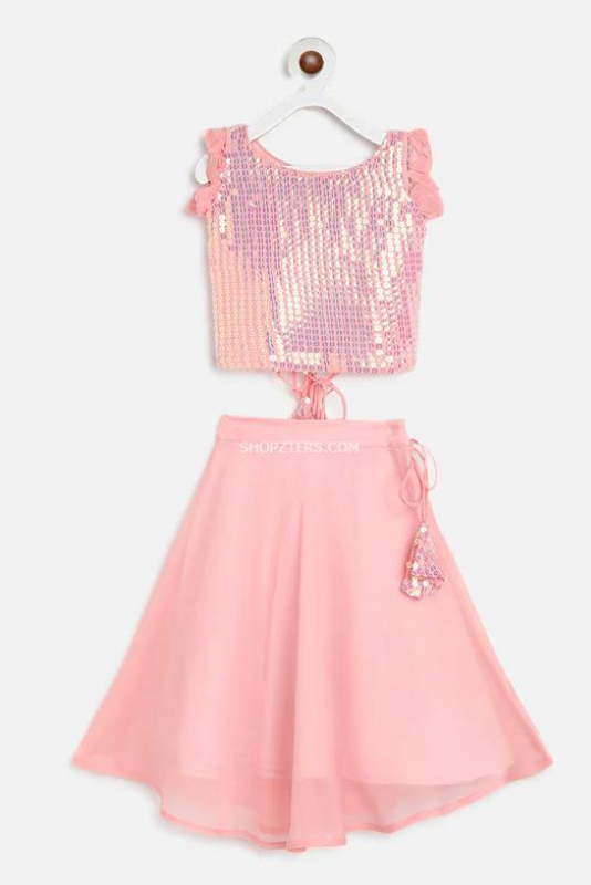 Pink Sequin Georgette Crop Top and Skirt