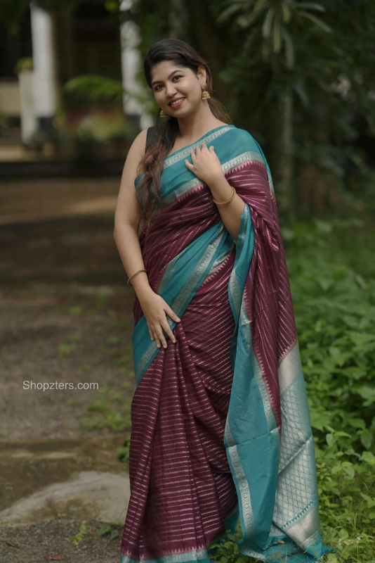 Wine Banarasi Silk Striped Saree with blue Border