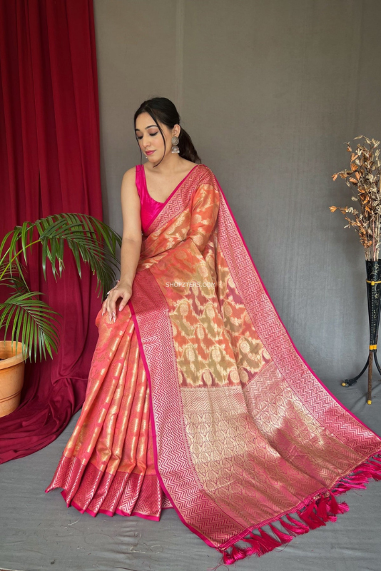 Banarasi Organza With Jaal weaves