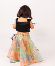 Black Velvet Crop top and multicolour Organza skirt