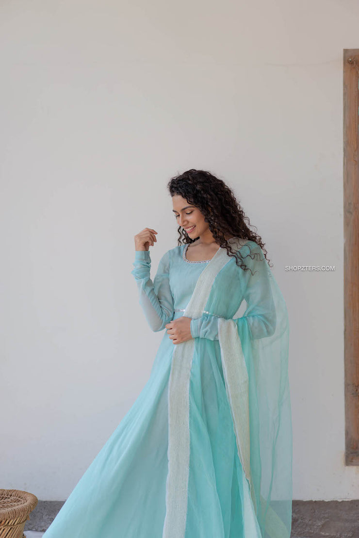 Buy Sky Blue Embroidered Net Gown For Women Online - Frontierraas