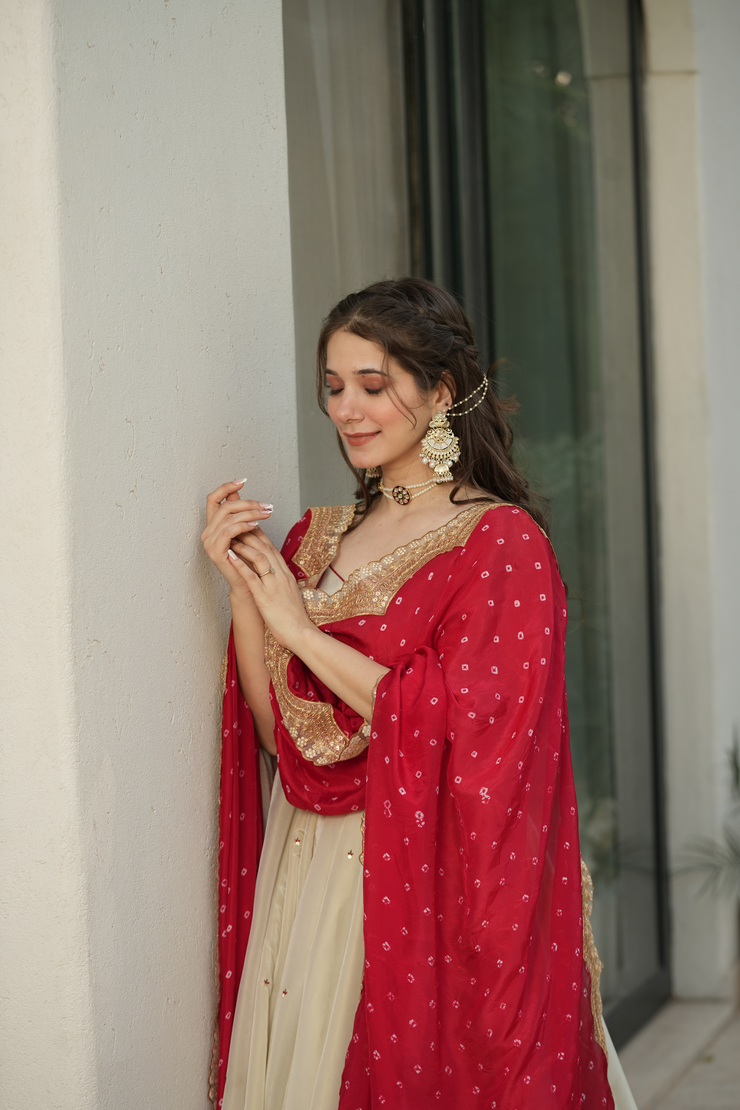 Half White with Red Cosmos Silk Lehenga Choli Set