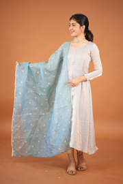 Silvery Kurti with Embroided Silk Dupatta