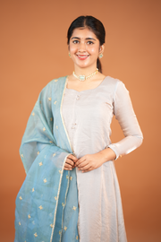 Silvery Kurti with Embroided Silk Dupatta