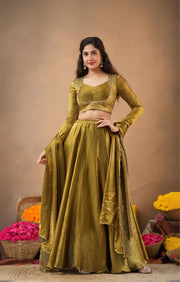 2-In-1 Indo Western Lehenga Choli In Olive Gold