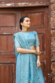 Women's  Sky Chiffon Saree