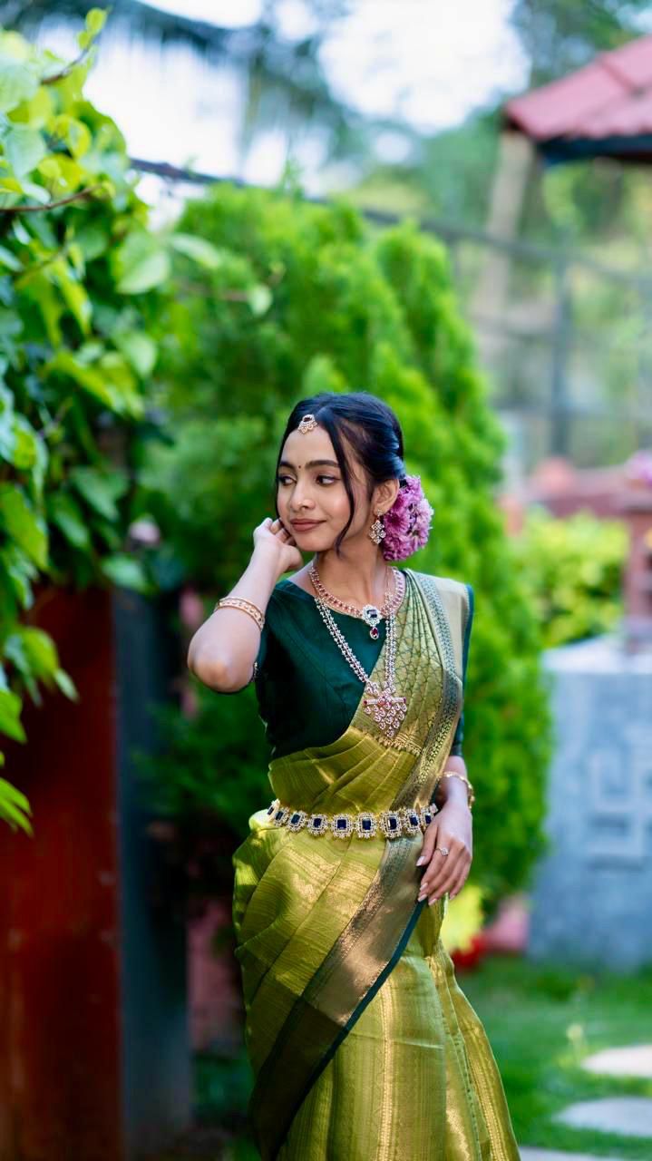 Timeless Grace  Green saree