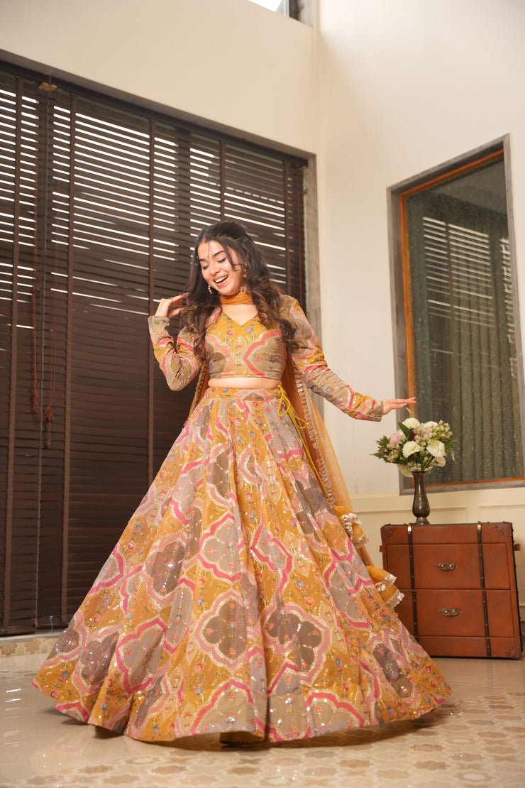 Dhanishta lehenga with Heavy  embroidery