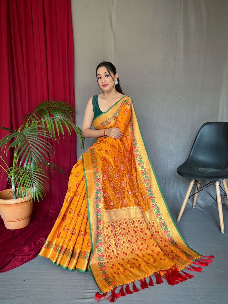 Katchi Patola Silk Saree With Meenakari Border