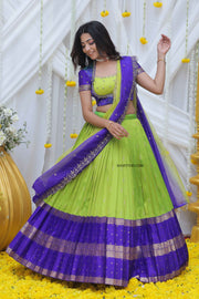 Light Green and Blue Gadval Silk Lehenga