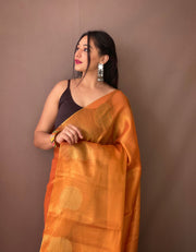 Tissue Silk Sarees with Zari Weaving