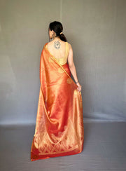 Beautiful Tissue Saree With Motif Border