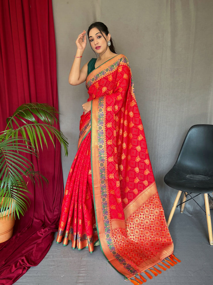 Katchi Patola Silk Saree With Meenakari Border