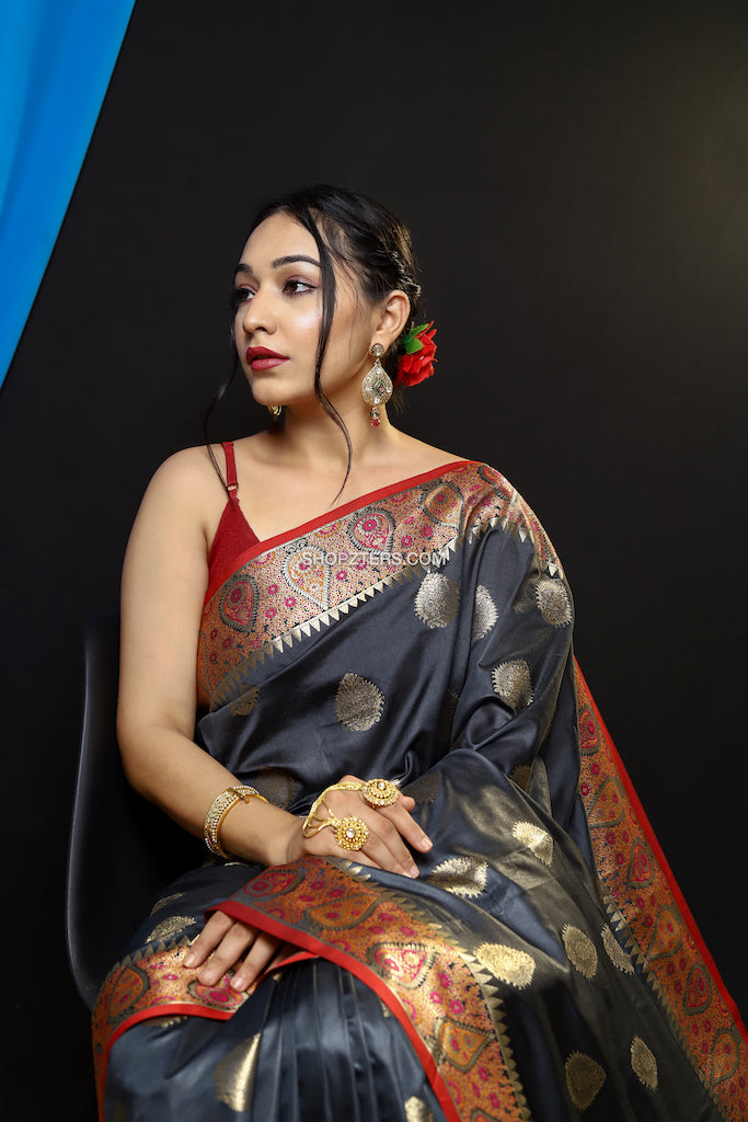 Paithani Dola Silk With Zari Border