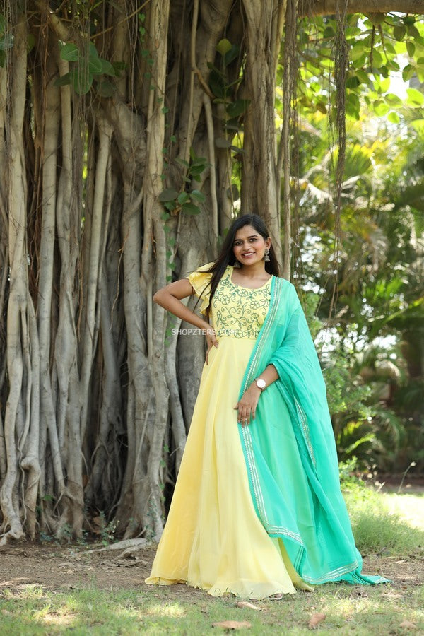 Pin by Parthu on Sreemukhi  Long gown design Maxi dress Lehenga choli  images