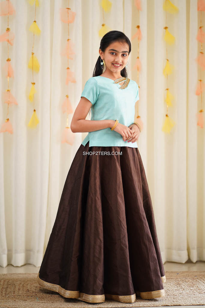 Blue Croptop With Brown Flared Skirt