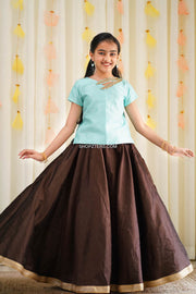Blue Croptop With Brown Flared Skirt