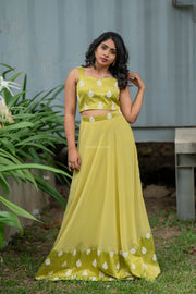 Apple Green Crop Top & Skirt With Embroidery & Sequins