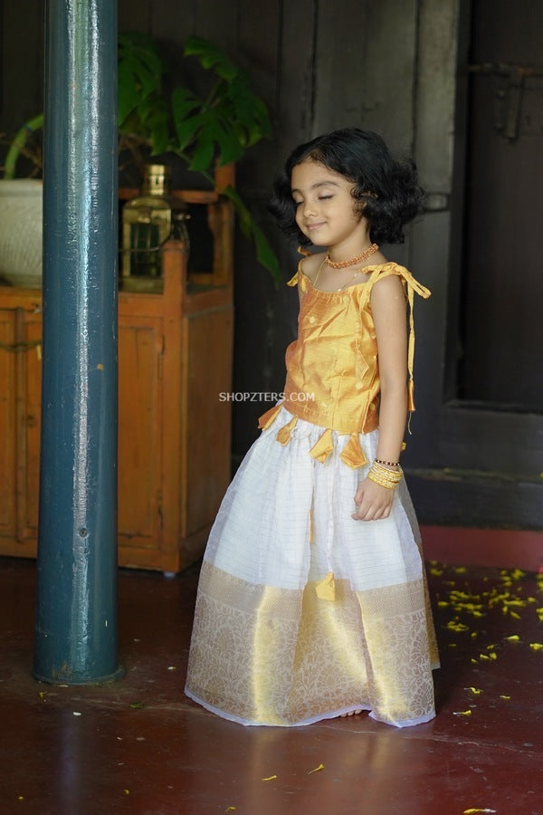 Yellow Dupion Butta Top With Organza Off White Skirt