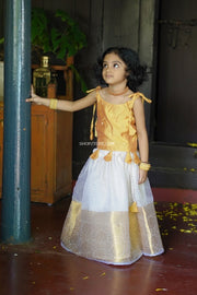 Yellow Dupion Butta Top With Organza Off White Skirt