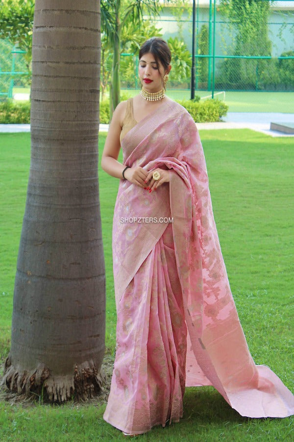 Linen Silk Woven Saree With Jaal Weaves