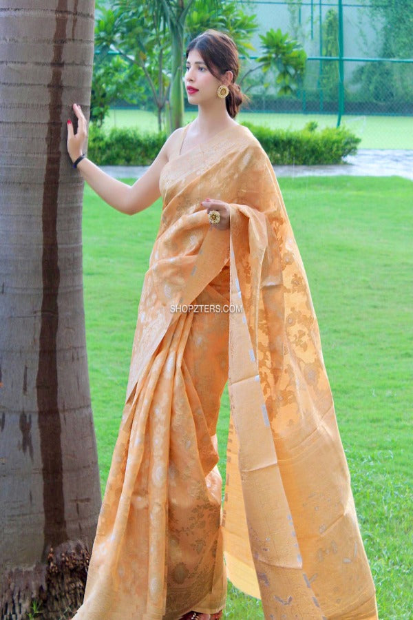 Linen Silk Woven Saree With Jaal Weaves