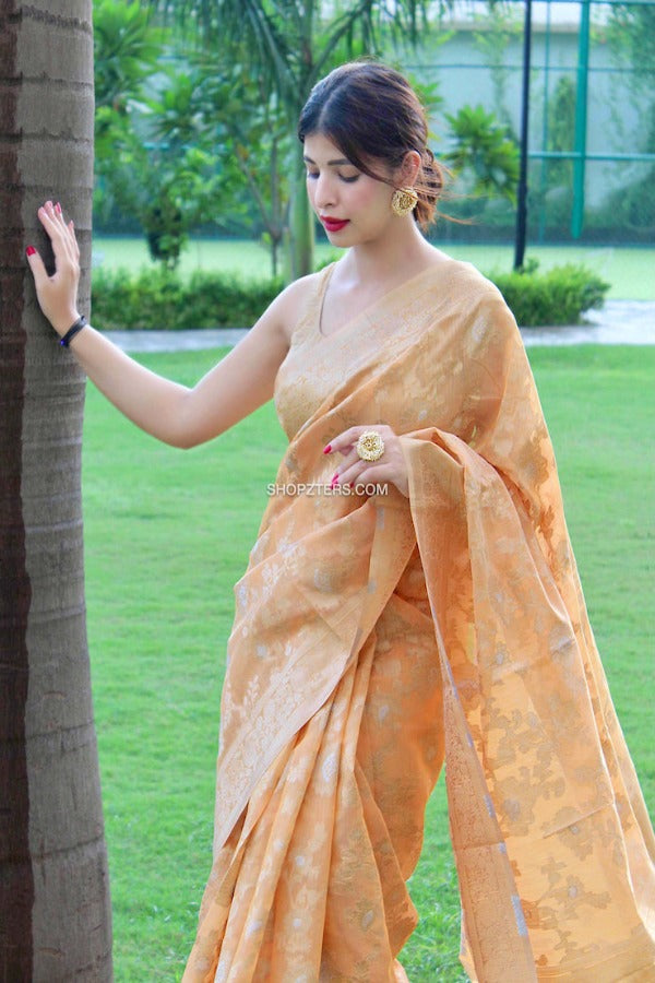 Linen Silk Woven Saree With Jaal Weaves