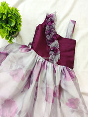 Wine and White Organza Frock